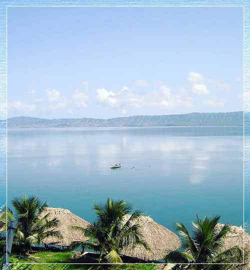 Golfo de Cariaco: Paraíso Marino y Biodiverso en Sucre | Turismo Natural Venezuela 