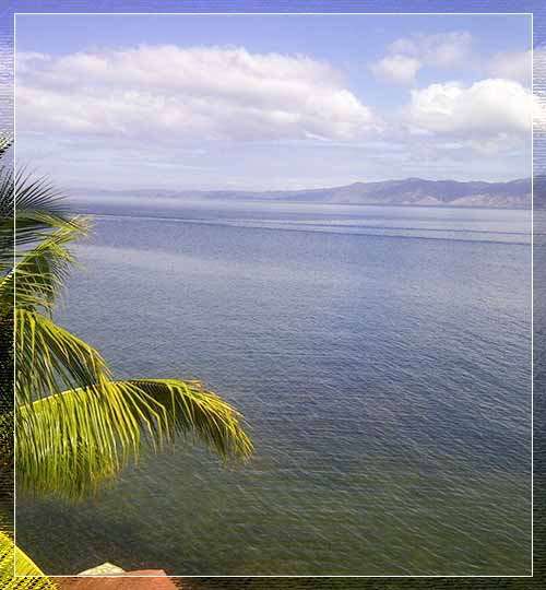 Golfo de Cariaco: Paraíso Marino y Biodiverso en Sucre | Turismo Natural Venezuela 