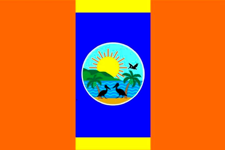 Bandera del Municipio Mejía, estado Sucre