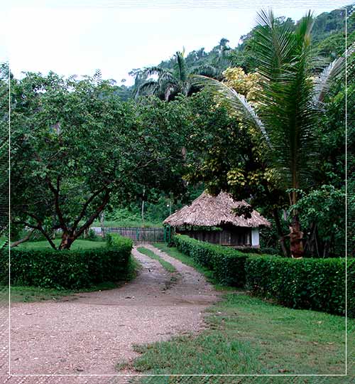 Posada Aguasana: Aguas Termales en Península de Paria